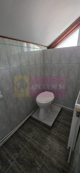 Vila de vanzare cu 5 camere in Busteni